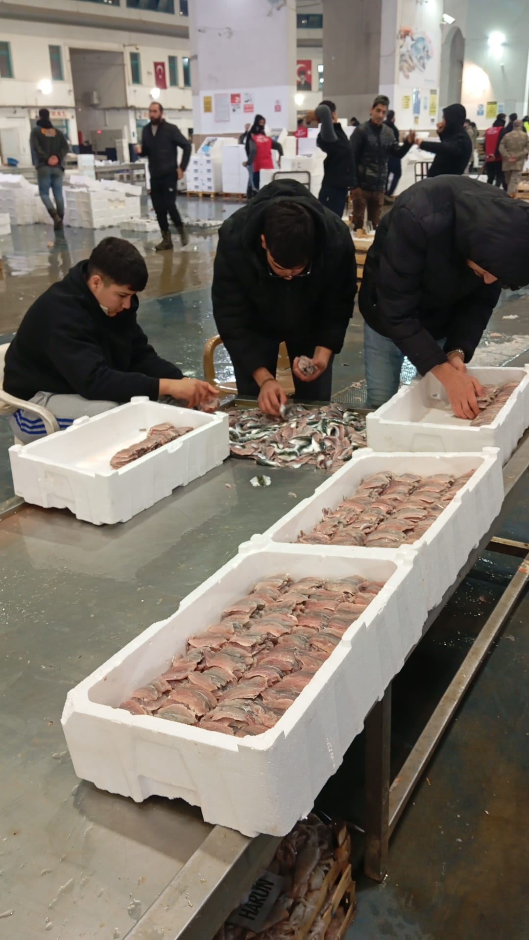 Okyanus Balıkçılık 